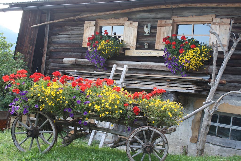 Appartement Muehlbach Alpendomizil II à Mühlbach am Hochkönig Extérieur photo