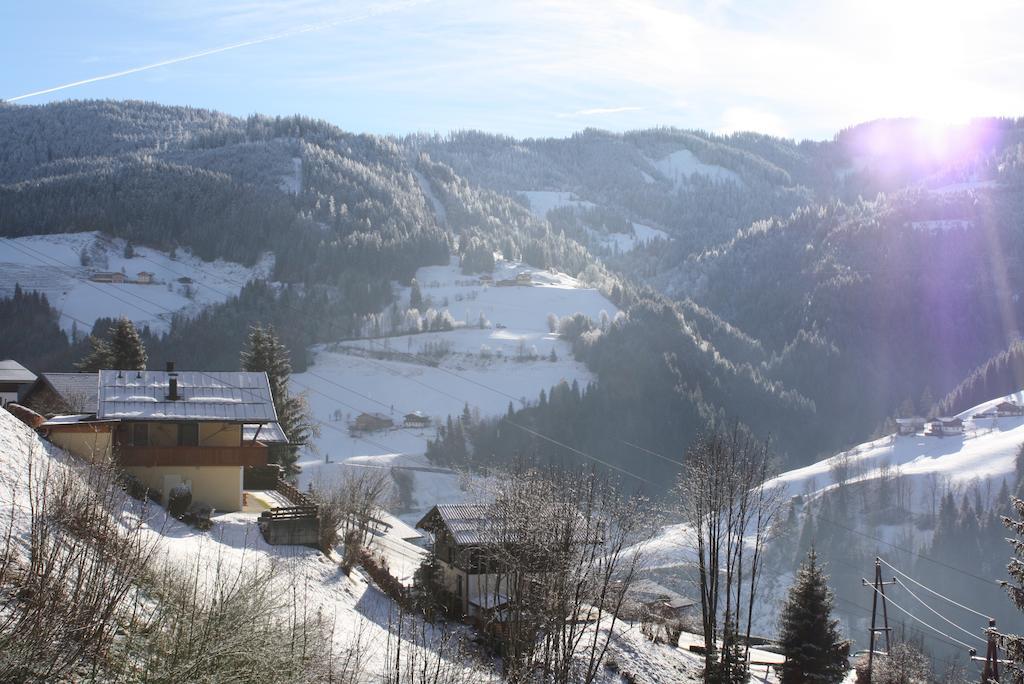 Appartement Muehlbach Alpendomizil II à Mühlbach am Hochkönig Extérieur photo